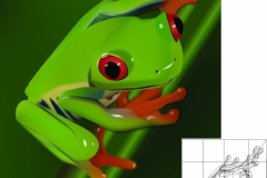 Frosch